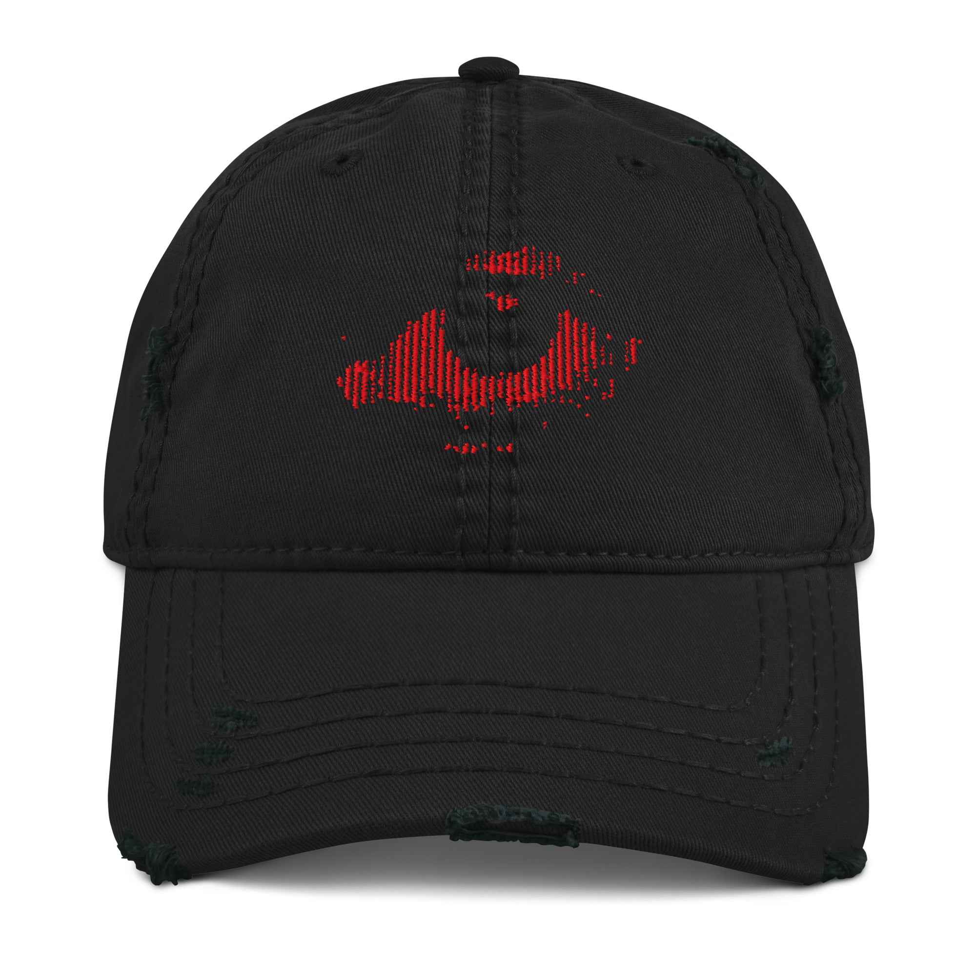 SE_SURVEILLANCE_CAP