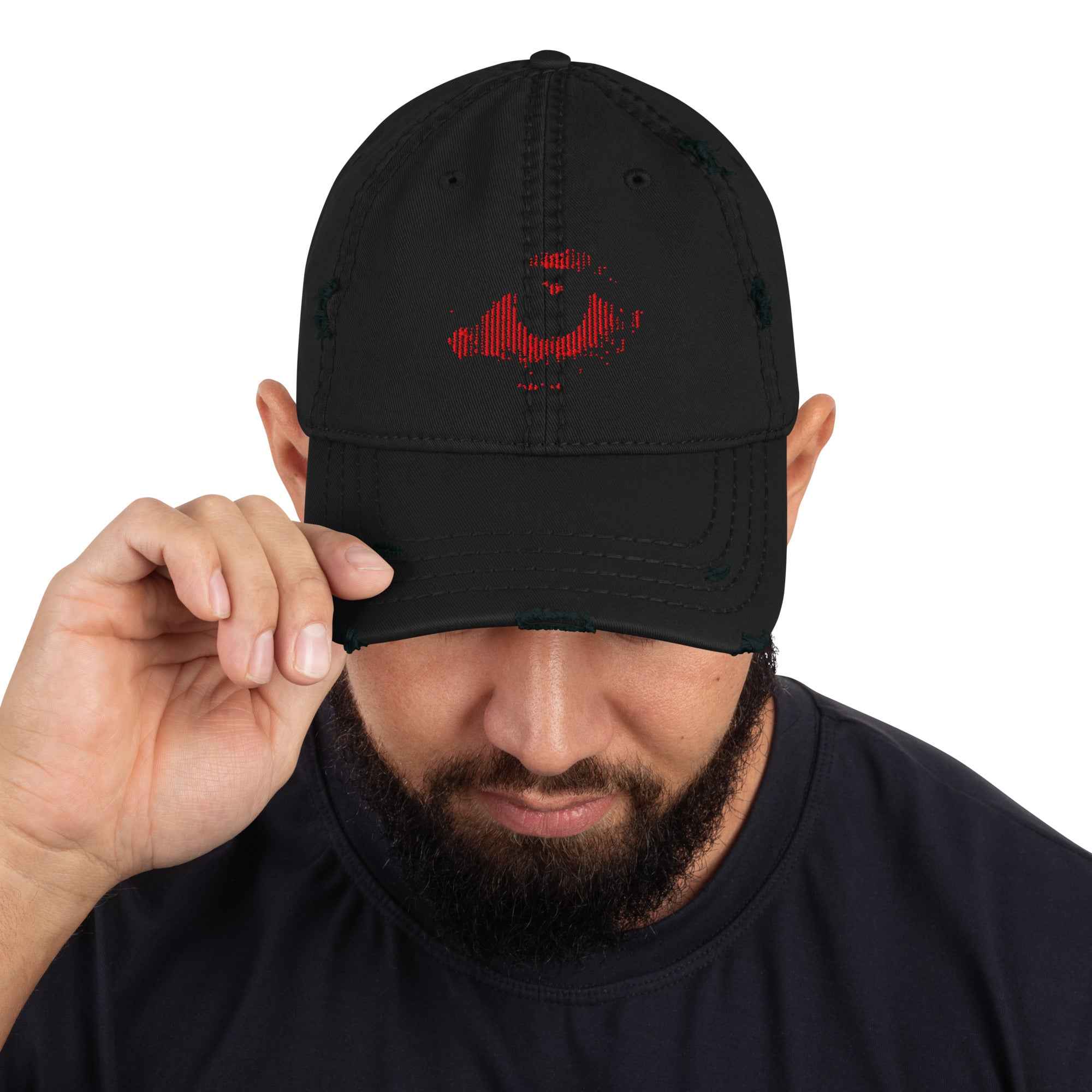 SE_SURVEILLANCE_CAP